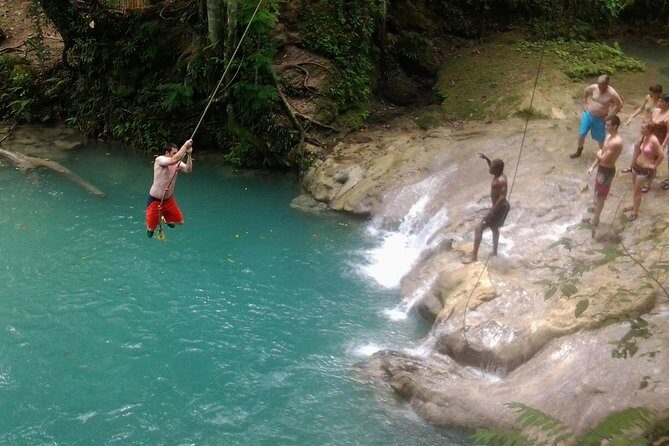 Blue Hole, Dunn's River Falls Luminous Lagoon Excursion From Montego Bay - Key Points