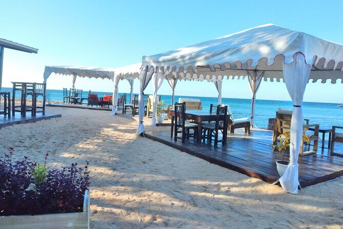 Blue Hole, Dunn's River Falls + Lunch & Cocktails at Bamboo Beach - Who Should Consider This Tour?