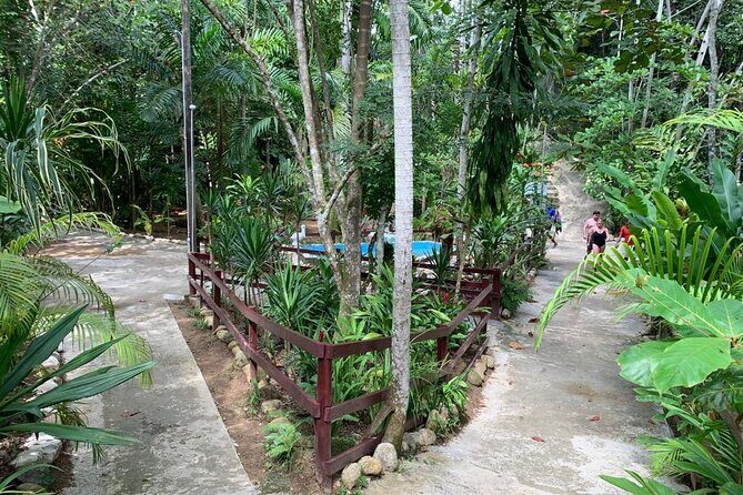 Blue Hole & Dunn's River Falls with Lunch from Negril - The Sum Up: Is It Worth It?