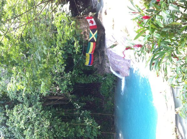 Blue Hole & Jamaica Sightseen Tour Included Transportation - FAQs about the Blue Hole & Jamaica Sightseeing Tour