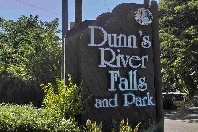 Blue Hole or Dunns River and Luminous Lagoon from Montego Bay - Who Should Book This Tour?