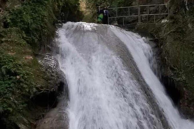 Blue Hole Secret Falls and Bob Marley Nine Mile Private Tour - A Deeper Look at the Tour Experience