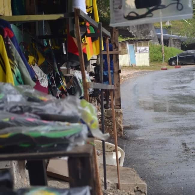 Blue Hole Secret Falls and Bob Marley Nine Mile Private Tour - Combining Adventure with Cultural Roots: Why This Tour Matters