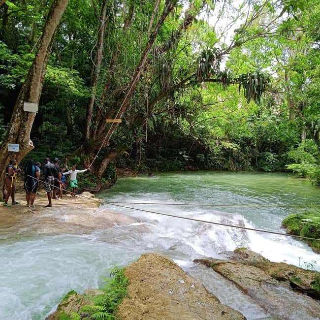Blue Hole Secret Falls and Bob Marley Nine Mile Private Tour - A Highly Rewarding Experience for Curious Travelers