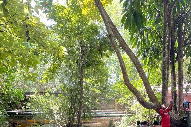 Blue Hole, Secret Falls, and Dunn's River Falls Combo Tour - FAQs