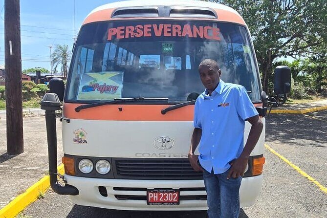 Blue Hole Secret Falls & O/Rios Highlight View Scenic Fern Gully - Who Would Enjoy This Tour?