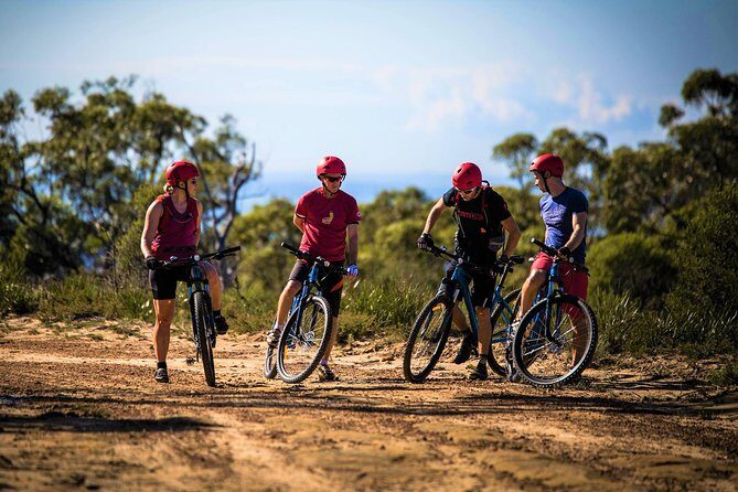 Blue Labyrinth PRIVATE Tour: Sydney Blue Mountains by E-Bike - A Closer Look at the Blue Labyrinth E-Bike Tour