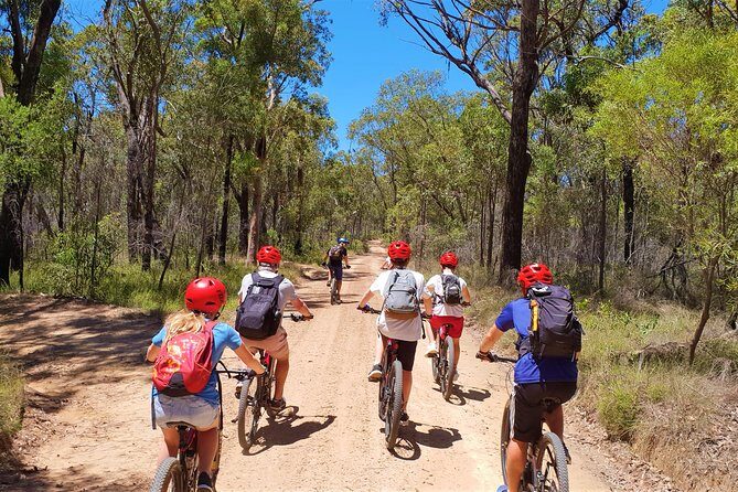 Blue Labyrinth PRIVATE Tour: Sydney Blue Mountains by E-Bike - Who Should Consider This Tour?