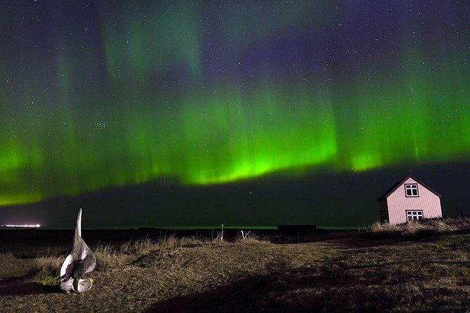 Blue Lagoon and Northern Lights Tour Including Admission - Transportation and Group Size