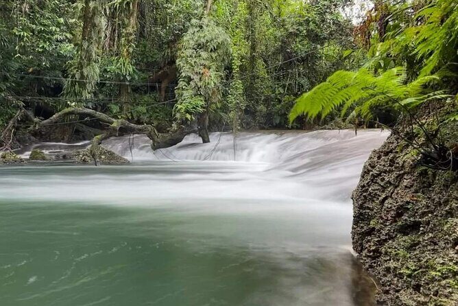 Blue Lagoon & Eden on the River - Half Day Trip with Yumi Tours - Who Will Love This Tour?