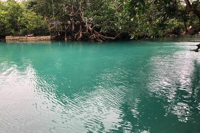 Blue Lagoon & Eden on the River - Half Day Trip with Yumi Tours - FAQ