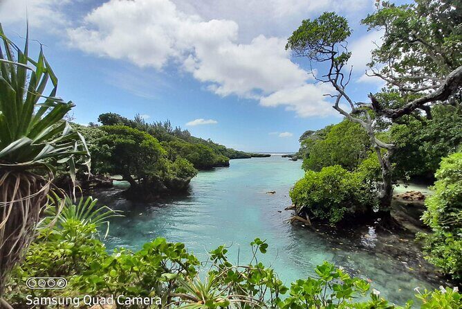 Blue Lagoon Express Bus - Key Points