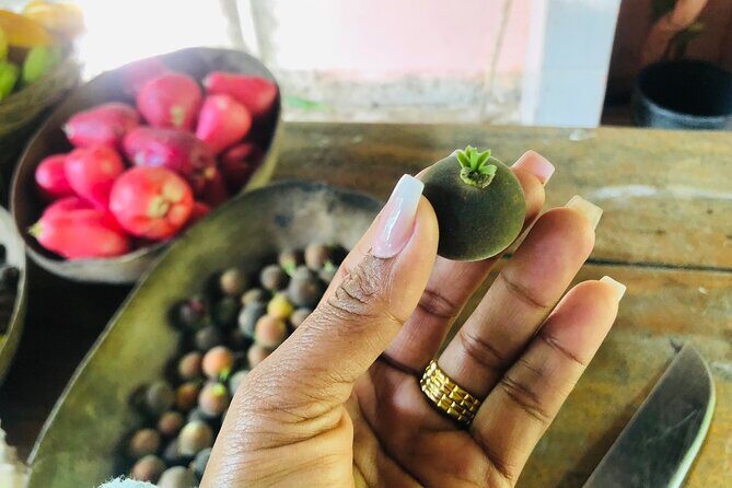 Blue Lagoon & Laguna el dudu from puerto plata - Who Will Love This Tour?