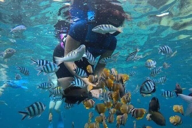 Blue Lagoon Snorkeling and Lunch - Ubud Monkey Forest - Waterfall - Key Points