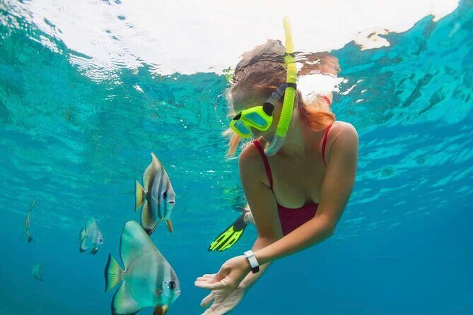 Blue Lagoon Snorkeling and Lunch - Ubud Monkey Forest - Waterfall - Post-Snorkeling Refresh and Indonesian Lunch