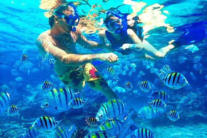 Blue Lagoon Snorkeling and Lunch - Ubud Monkey Forest - Waterfall - Ubud Monkey Forest: The Final Stop