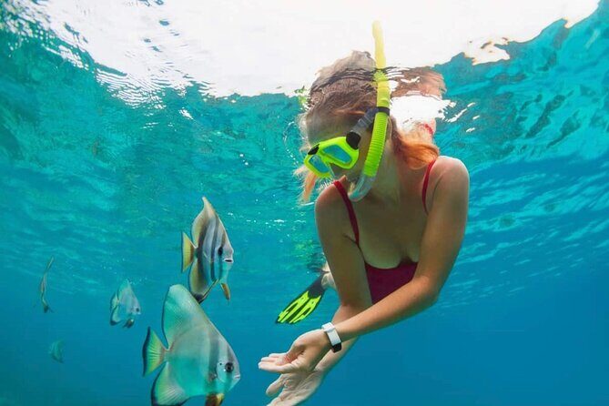 Blue Lagoon Snorkeling and Lunch with Tukad Cepung Waterfall - A Detailed Look at Your Bali Day Adventure