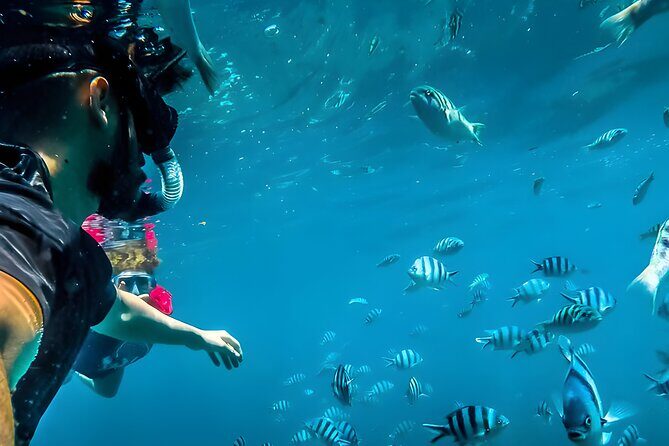 Blue Lagoon Snorkeling - Bali Best Snorkeling Site - Bali’s Blue Lagoon Snorkeling: A Detailed Review of One of the Island’s Best Marine Experiences