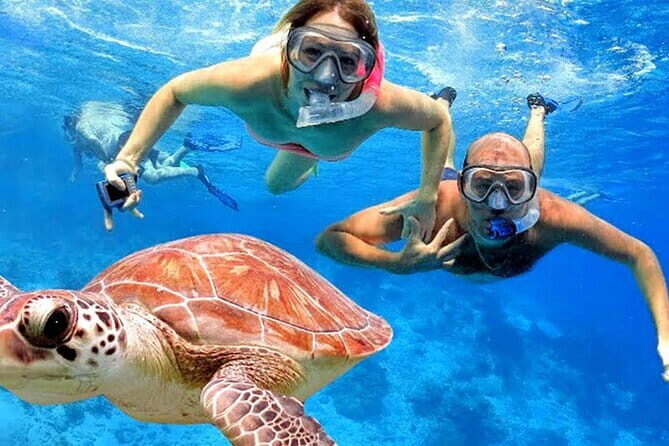 Blue Lagoon Snorkeling with Lunch and Private Transport - Key Points