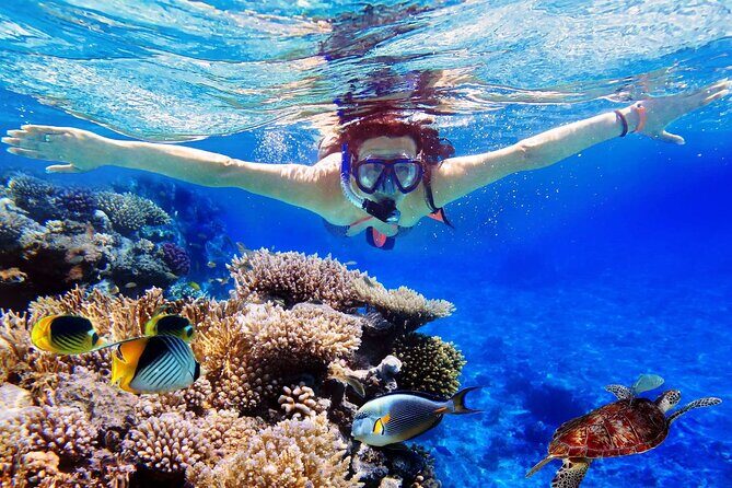 Blue Lagoon & Tanjung Jepun Snorkeling Private Tour - Discovering Bali’s Underwater Gems: Blue Lagoon & Tanjung Jepun Snorkeling Private Tour