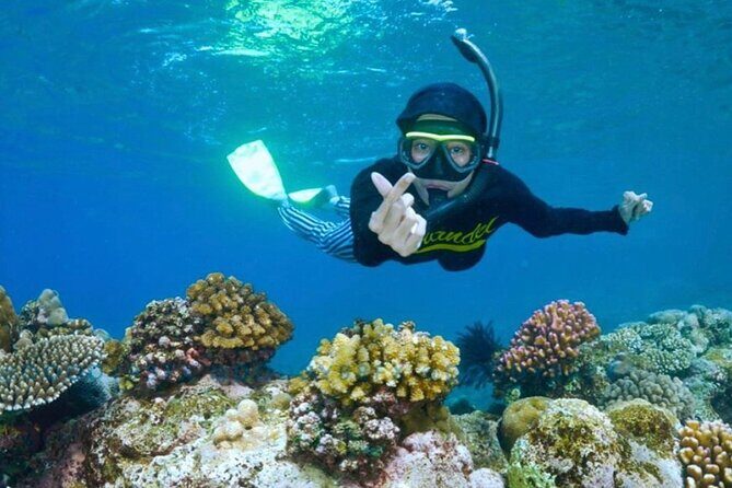 Blue Lagoon & Tanjung Jepun Snorkeling Private Tour - What to Expect from the Blue Lagoon & Tanjung Jepun Snorkeling Tour