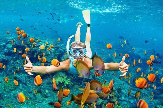Blue Lagoon & Tanjung Jepun Snorkeling Private Tour - Who Should Consider This Tour?