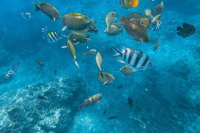 Blue Lagoon & Tanjung Jepun snorkeling with Kanto Lampo WaterFall and Monkey bar - The Sum Up