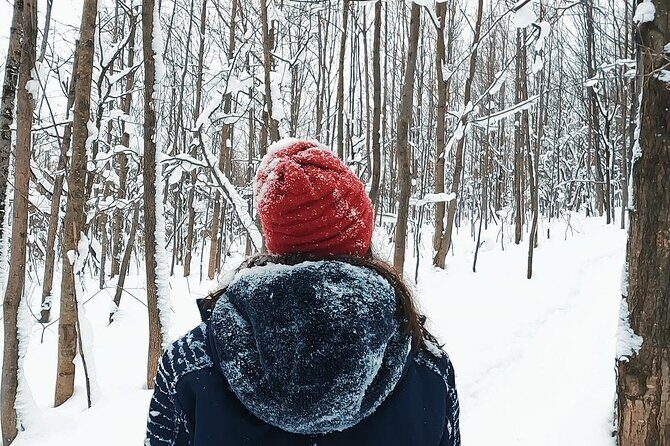 Blue Mountain and Scenic caves of Collingwood - Final Thoughts: Who Will Love This Tour?