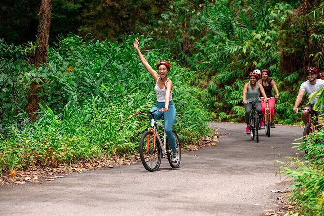 Blue Mountain Bicycle Tour - Experience the Blue Mountains: A Full-Day Adventure from Ocho Rios