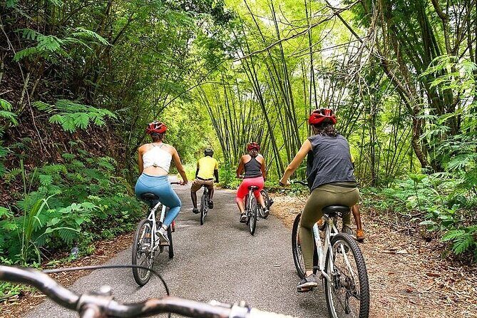 Blue Mountain Bicycle Tour Experience - In-Depth Review of the Blue Mountain Bicycle Tour Experience
