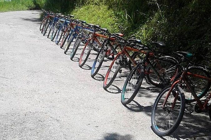 Blue Mountain Bicycle Tour from Ocho Rios - Frequently Asked Questions