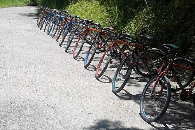 Blue Mountain Bicycle Tour from Runaway Bay - Key Points