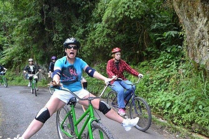 Blue Mountain Bicycle Tour from Runaway Bay - Who Will Love This Tour?