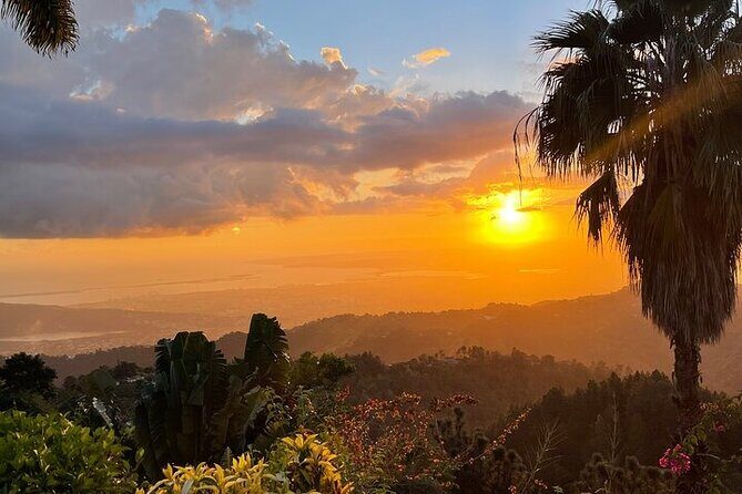 Blue Mountain Coffee, Bob Marley and Art Tour from Montego Bay - Final Thoughts