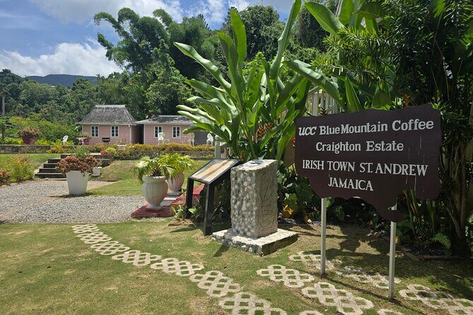 Blue Mountain Coffee Hike and Tour - Key Points