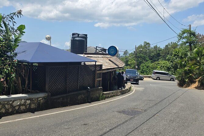 Blue Mountain Coffee Hike and Tour - FAQ