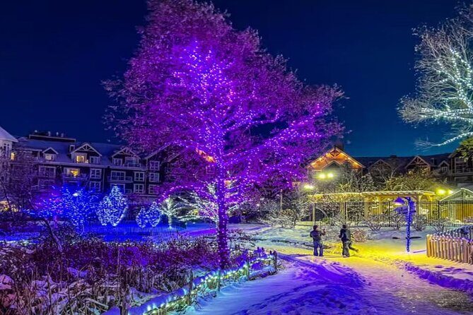 Blue Mountain Daily Winter Shuttle from Toronto (GTA) - The Details of the Blue Mountain Shuttle: What You Can Expect