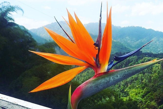 Blue Mountain Path Finder - Key Points