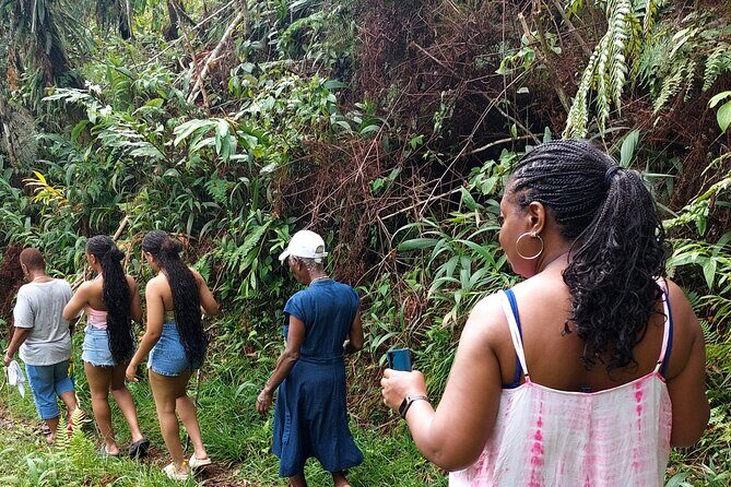 Blue Mountain Sight-Seeing & Nature Trail Hike with Private Guide - Exploring the Blue Mountains: A Guided Sight-Seeing & Nature Trail Hike