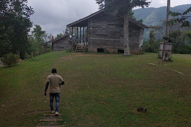 Blue Mountain Sight-Seeing & Nature Trail Hike with Private Guide - Key Points