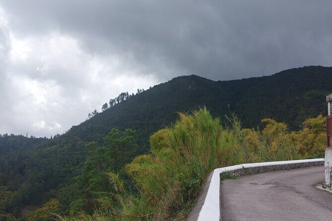 Blue Mountain Sight-Seeing & Nature Trail Hike with Private Guide - FAQ