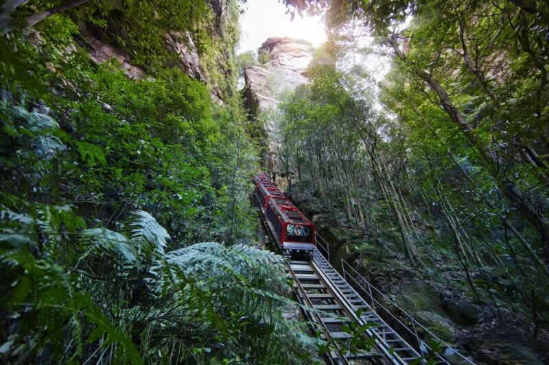Blue Mountain: Small-Group Tour with Lunch & Scenic World - Key Points