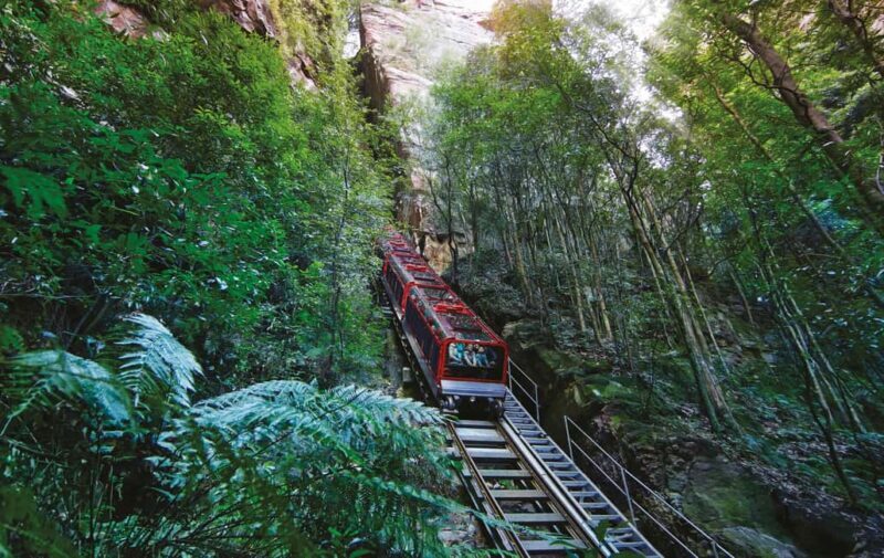 Blue Mountain: Small-Group Tour with Lunch & Scenic World - Authentic Perspectives from Travelers