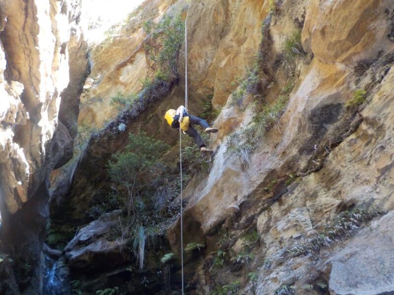 Blue Mountains: Abseiling and Canyoning Experience - The Sum Up: Who Should Consider This Tour?