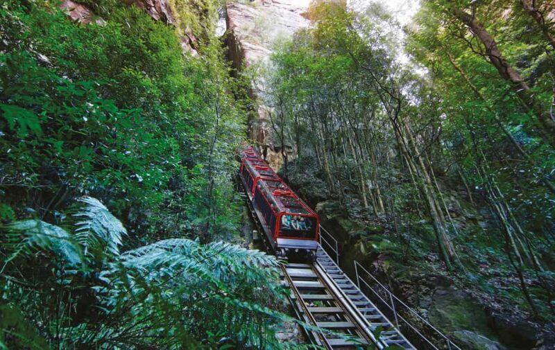 Blue Mountains Adventure: Scenic World, Zoo & Koala Photo - Key Points