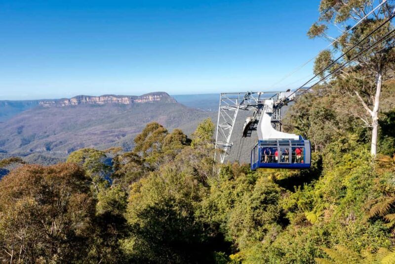 Blue Mountains Adventure: Scenic World, Zoo & Koala Photo - A Full Breakdown of the Day