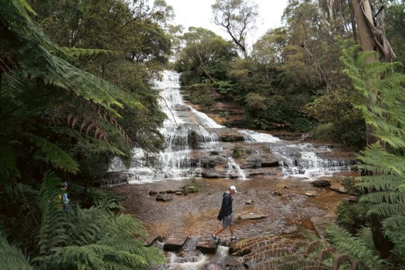 Blue Mountains Adventure: Scenic World, Zoo & Koala Photo - Final Thoughts