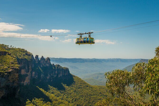 Blue Mountains Adventure w Scenic World, Zoo, Koala Photo & Ferry - Final Thoughts