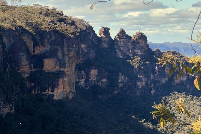 Blue Mountains and Australian Native Animals - A Closer Look at the Blue Mountains and Australian Native Animals Tour
