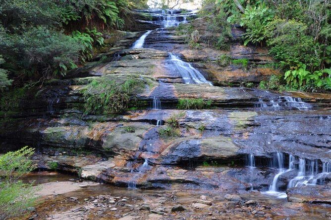 Blue Mountains: Cable Cars, Wildlife & Three Sisters Private Tour - FAQ